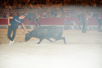 toro piscine beaucaire (62)