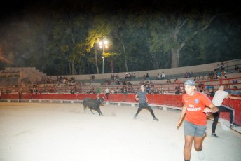 toro piscine beaucaire (63)