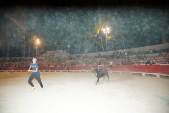toro piscine beaucaire (65)