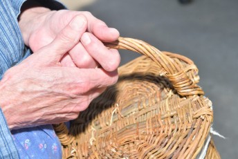 Foire aux chevaux Fourques Beaucaire 01-09-2019 (10)