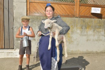 Foire aux chevaux Fourques Beaucaire 01-09-2019 (12)