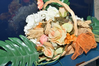Foire aux chevaux Fourques Beaucaire 01-09-2019 (14)