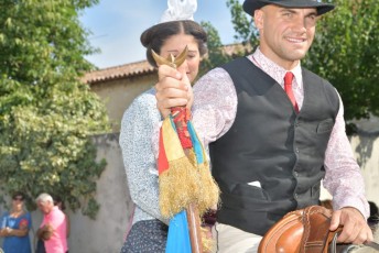 Foire aux chevaux Fourques Beaucaire 01-09-2019 (15)