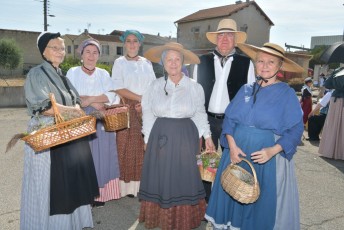 Foire aux chevaux Fourques Beaucaire 01-09-2019 (18)