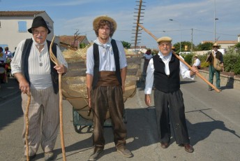 Foire aux chevaux Fourques Beaucaire 01-09-2019 (22)