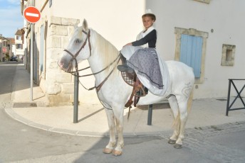 Foire aux chevaux Fourques Beaucaire 01-09-2019 (3)