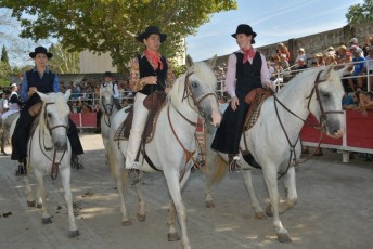 Foire aux chevaux Fourques Beaucaire 01-09-2019 (30)
