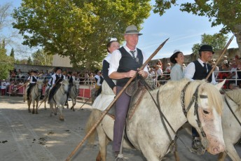 Foire aux chevaux Fourques Beaucaire 01-09-2019 (32)