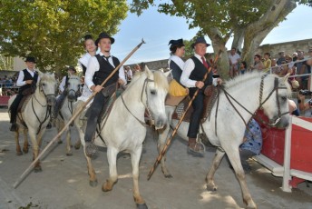 Foire aux chevaux Fourques Beaucaire 01-09-2019 (33)
