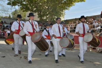 Foire aux chevaux Fourques Beaucaire 01-09-2019 (34)