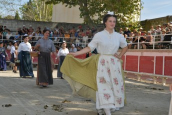 Foire aux chevaux Fourques Beaucaire 01-09-2019 (35)