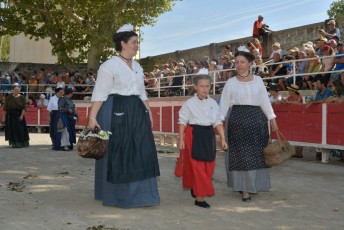Foire aux chevaux Fourques Beaucaire 01-09-2019 (36)