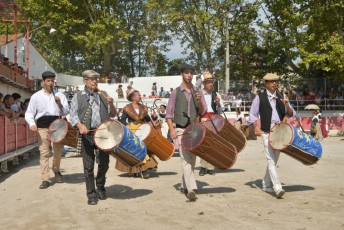 Foire aux chevaux Fourques Beaucaire 01-09-2019 (37)