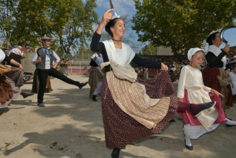 Foire aux chevaux Fourques Beaucaire 01-09-2019 (42)