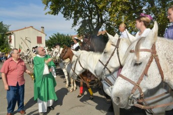 Foire aux chevaux Fourques Beaucaire 01-09-2019 (5)