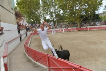 Foire aux chevaux Fourques Beaucaire 01-09-2019 (55)