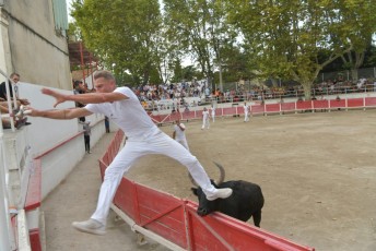 Foire aux chevaux Fourques Beaucaire 01-09-2019 (56)