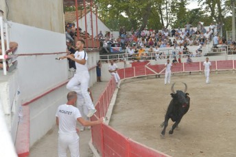 Foire aux chevaux Fourques Beaucaire 01-09-2019 (57)