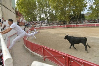 Foire aux chevaux Fourques Beaucaire 01-09-2019 (58)