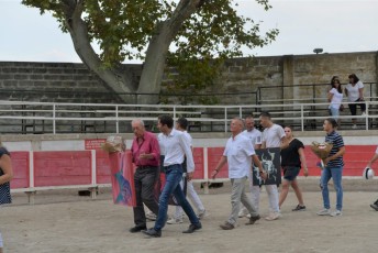 Foire aux chevaux Fourques Beaucaire 01-09-2019 (67)