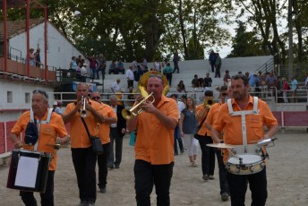 Foire aux chevaux Fourques Beaucaire 01-09-2019 (68)