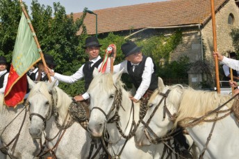 Foire aux chevaux Fourques Beaucaire 01-09-2019 (7)