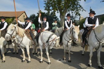 Foire aux chevaux Fourques Beaucaire 01-09-2019 (8)