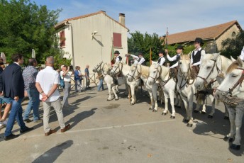 Foire aux chevaux Fourques Beaucaire 01-09-2019 (9)