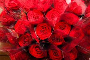 2.dejeuner spectacle ccas beaucaire-04