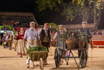 20240721 - Ouverture des Fêtes de la Madeleine - 67
