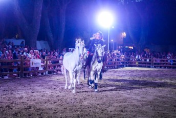 2_Rencontres equestres spectacle samedi _DSC0826-2