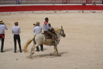 abrivade ancienne _ Beaucaire (18)
