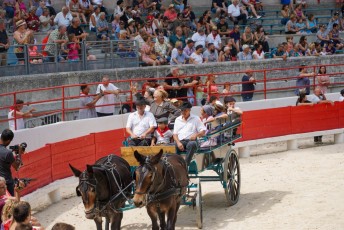 abrivade ancienne _ Beaucaire (22)