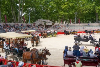 abrivade ancienne _ Beaucaire (23)