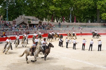 abrivade ancienne _ Beaucaire (29)
