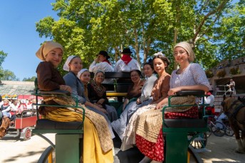 abrivado_ancienne_beaucaire_traditions-17