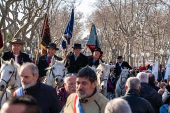 manifestation_tradition_beaucaire -10