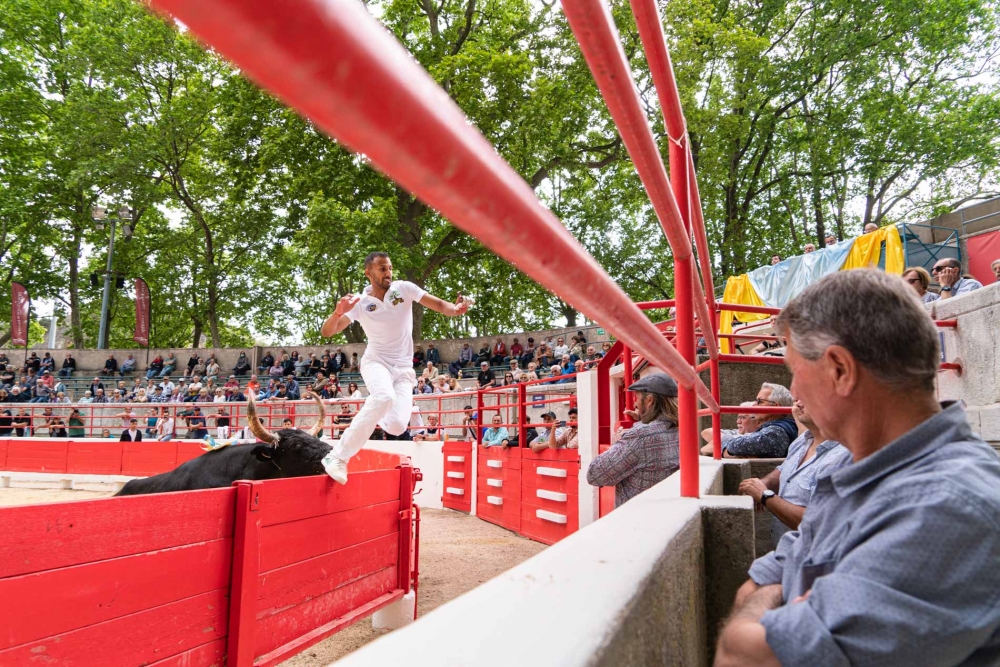 Courses camarguaises : La saison 2022 se poursuit avec la 2ème journée du Muguet d’Or !🐂