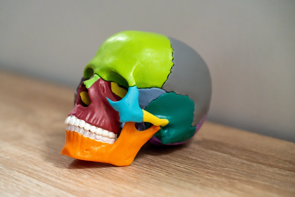 La chiropraxie s’installe au cœur de Beaucaire !