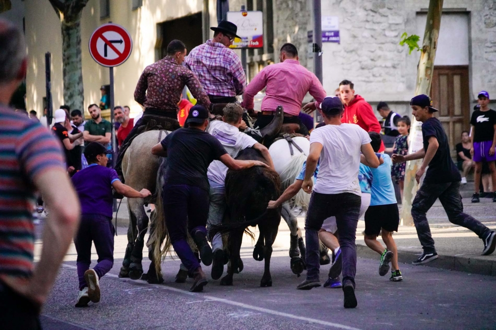 Les taureaux de l’Ascension : Un immanquable à Beaucaire !