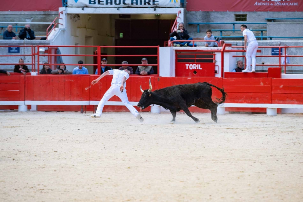 Le 33ème souvenir Fanfonne Guillerme dans les Arènes de Beaucaire