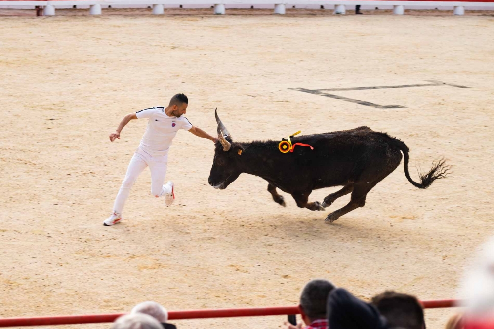 Courses camarguaises : La 1ère journée du Muguet d’Or annonce une belle saison 2022 à Beaucaire !
