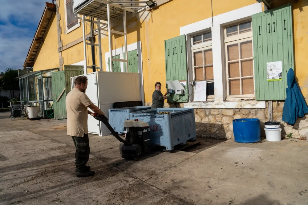 𝐋’𝐡𝐮𝐢𝐥𝐞𝐫𝐢𝐞 𝐜𝐨𝐨𝐩𝐞́𝐫𝐚𝐭𝐢𝐯𝐞 𝐝𝐞 𝐁𝐞𝐚𝐮𝐜𝐚𝐢𝐫𝐞 : 𝐮𝐧 𝐬𝐢𝐞̀𝐜𝐥𝐞 𝐝𝐞 𝐬𝐚𝐯𝐨𝐢𝐫-𝐟𝐚𝐢𝐫𝐞 𝐛𝐞𝐚𝐮𝐜𝐚𝐢𝐫𝐨𝐢𝐬 🫒