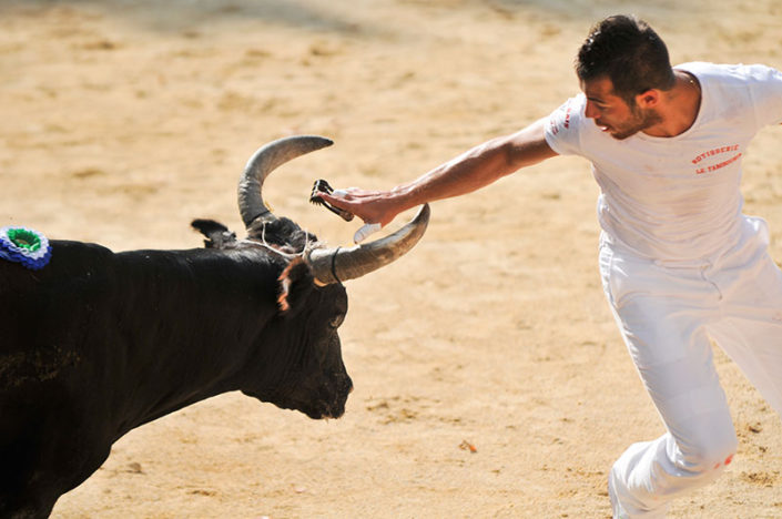 Course camarguaise Course camarguaise