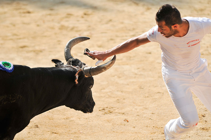 Course camarguaise