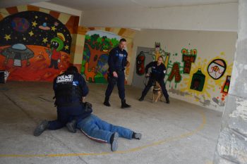 Beaucaire : Des entraînements réguliers pour notre Police Municipale