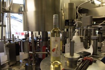 Beaucaire : la cuvée Sainte Marie Madeleine bientôt en vente !