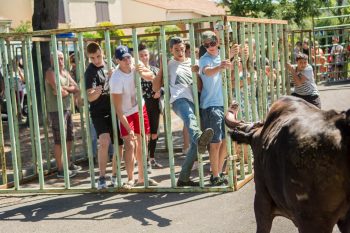 Beaucaire : L’encierro de la Moulinelle comme avant-goût des Estivales !