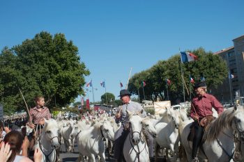 Fête Nationale à Beaucaire : un beau défilé de 100 chevaux !