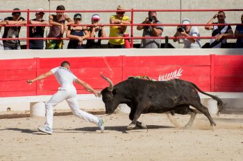 2ème journée de la Palme d’Or : Cadenas et Zekraoui ex-aequo à l’issue de la course